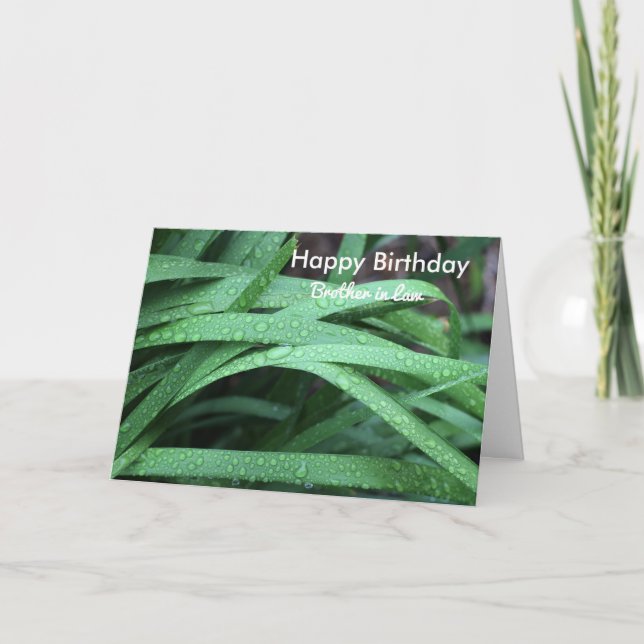 Cartão Feliz aniversário, irmão da lei (Frente)
