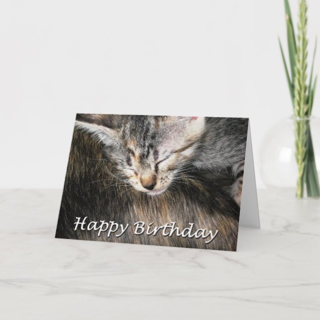 Cartão Feliz Aniversário Kitten e Cat (Frente)