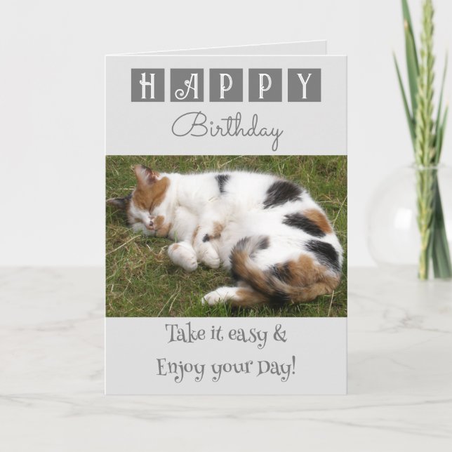 Cartão Feliz Aniversário, leve a cinza de fotos de gatos (Frente)