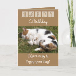 Cartão Feliz Aniversário, leve a foto fácil do gato marro