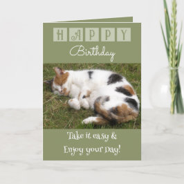 Cartão Feliz Aniversário, leve a foto fácil do gato verde