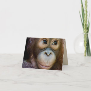 Cartão Feliz Aniversário Macaco!