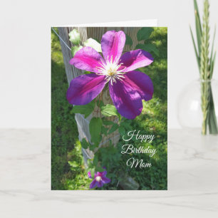 Cartão Feliz aniversário Mãe Bonito Flor Roxo Clematis