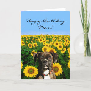Cartão Feliz Aniversário, mãe Boxer.