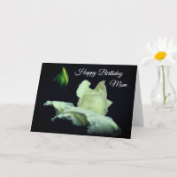 Feliz aniversário Mãe Branca Flor Rosebud