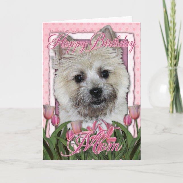 Cartão Feliz aniversário Mãe - Cairn Terrier - Urso de Te (Frente)