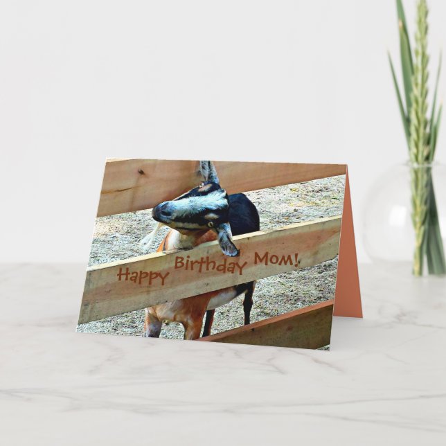 Cartão Feliz Aniversário Mãe de Criança Favorita (com Cab (Frente)