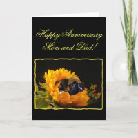 Feliz Aniversário, mãe e pai Boxeting Card