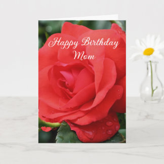 Cartão Feliz aniversário Mãe Rosa vermelha Flor