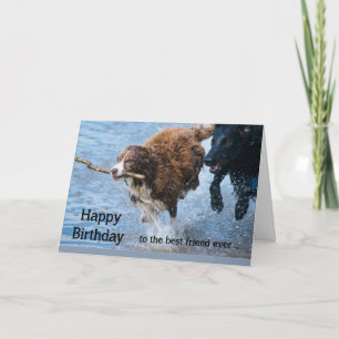 Cartão Feliz Aniversário Melhor Amigo Divertidos Cães Vel