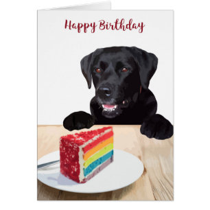 Cartão Feliz Aniversário Negro Labrador Retriever - Cach