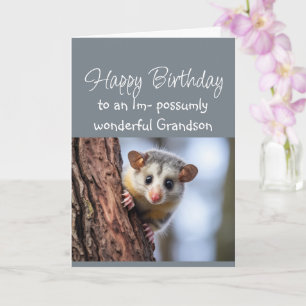 Cartão Feliz Aniversário Neto Maravilhoso Animal Gambá