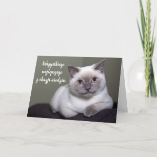 Cartão Feliz aniversário no vazio de gato branco polonê