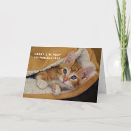 Cartão Feliz aniversário, Orange Tabby Kitten na cama