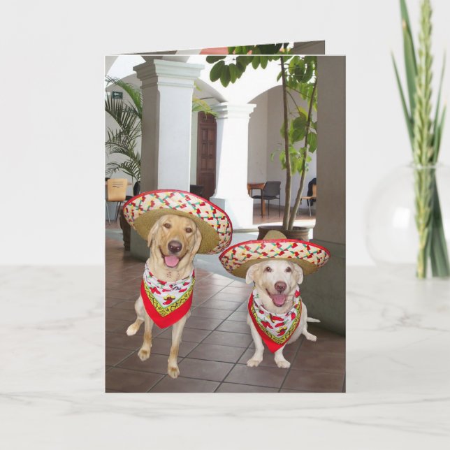 Cartão Feliz aniversario! ou cumpleaños de Feliz do ¡! (Frente)