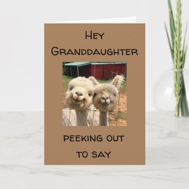 CARTÃO FELIZ *ANIVERSÁRIO* PARA A MINHA CARTEIRA *AVÓ* (Frente)