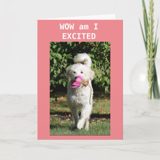 CARTÃO FELIZ ANIVERSÁRIO PARA A MINHA **FILHA** (Frente)