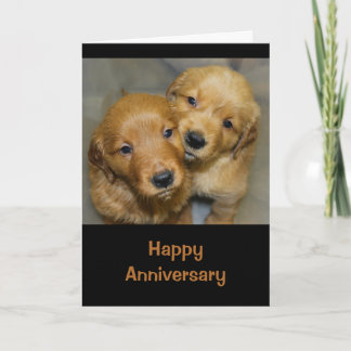 Cartão Feliz Aniversário Para Um Casal Cachorro Fora Do C