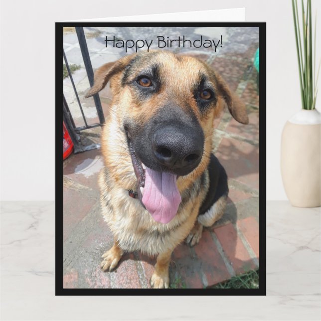 Cartão Feliz Aniversário para um Jovem German shepherd Pu (Frente)