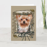 Cartão Feliz aniversario - patas de pedra - yorkshire<br><div class="desc">O que poderia dizer o feliz aniversario melhor do que este cão do yorkshire terrier que ajuda o a comemorar! Como você apreciaria um dia com seus amigos e seus pele-bebês? Tenha um dia do divertimento e ganhe um presente LIVRE! Escolha uma data e uma área em sua casa onde...</div>