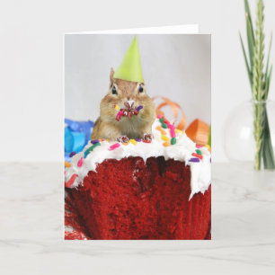 Cartão Feliz Aniversário Pequeno Chipset