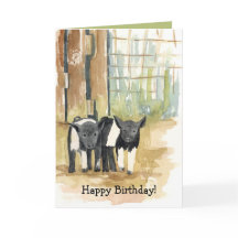 Feliz Aniversário Porcos Animais da Fazenda do Qui