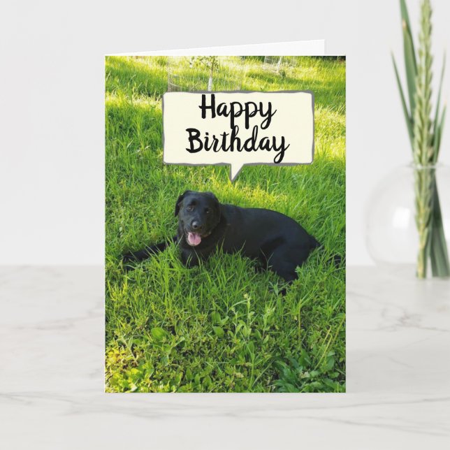 CARTÃO FELIZ ANIVERSÁRIO PORQUE VOCÊ "CONTA" COLABORADOR  (Frente)