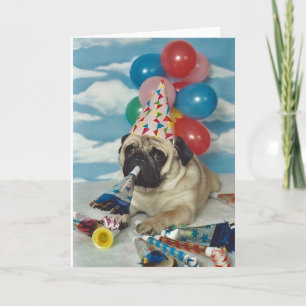 Cartão Feliz Aniversário Pug