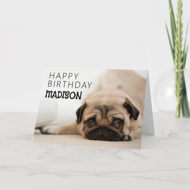 Cartão Feliz Aniversário | Pug (Frente)