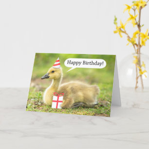 Cartão Feliz Aniversário Quente e Felpudo Humor