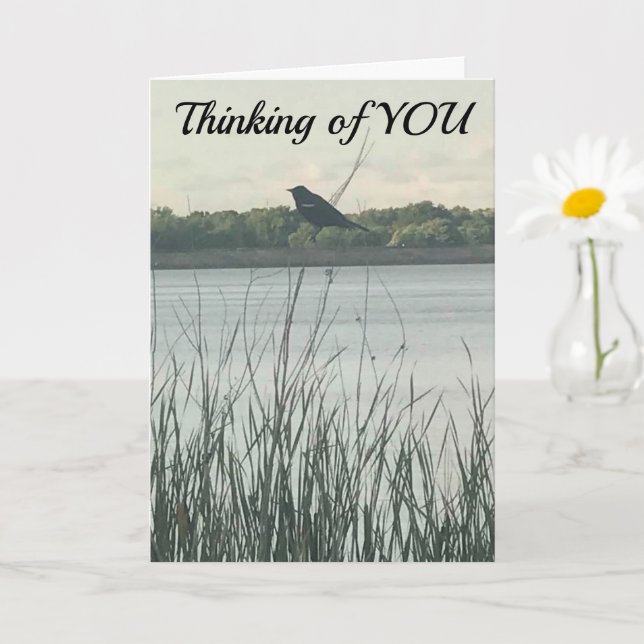 CARTÃO ***FELIZ ANIVERSÁRIO*** QUERIA QUE FOSSE "PESSOAL" (Planta pequena)