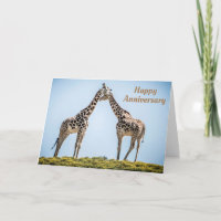 Feliz Aniversário Românico Girafas Beijam