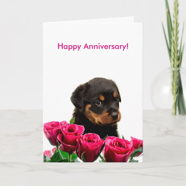Cartão Feliz Aniversário, Rosa Rottweiler Puppy (Frente)