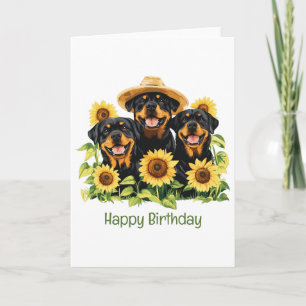 Cartão Feliz Aniversário Rottweiler Cães Girassóis