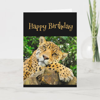 Cartão Feliz Aniversário Selvagem Coisa Leopardo Diversão