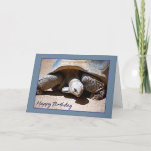 Cartão Feliz aniversário Tortoise