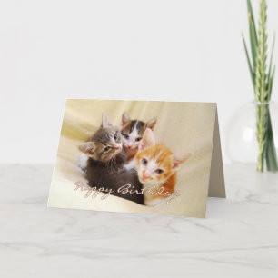 Cartão Feliz aniversário Trio de Kittens