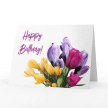 Feliz aniversário tulipa rosa-rosa-pinto-pinto-pin