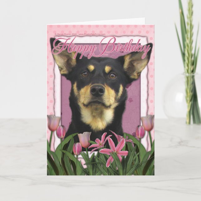 Cartão Feliz Aniversário - Tulipas Rosa - Kelpie Australi (Frente)