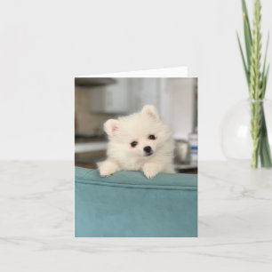 Cartão Feliz Aniversário/ Um Critério Adorável para Outro