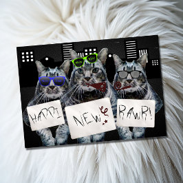 Cartão Feliz Ano Novo Gatinho Trio