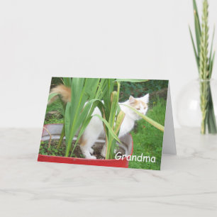 CARTÃO FELIZ AVÓ DE ANIVERSÁRIO