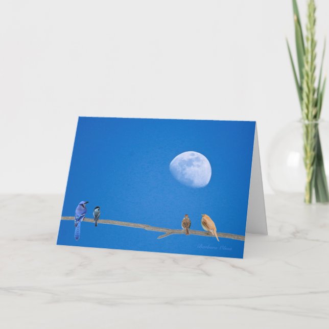 Cartão Feliz BirdDay, pássaros no arame. (Frente)
