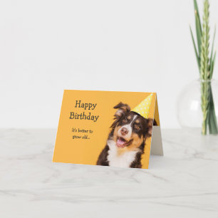 Cartão Feliz Cachorro Feliz de Aniversário, Fazendo Velh