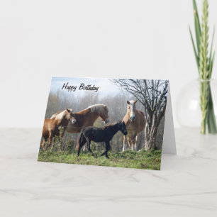 Cartão Feliz Cavalo de Aniversário
