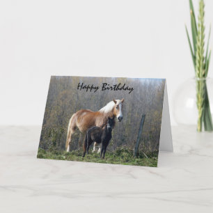 Cartão Feliz Cavalo de Aniversário