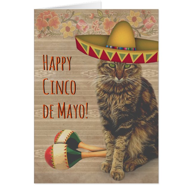 Cartão Feliz Cinco de Mayo Cat com chapéu mexicano (Frente)