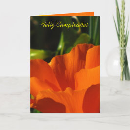Cartão Feliz Cumpleaños - Amapola de Califórnia