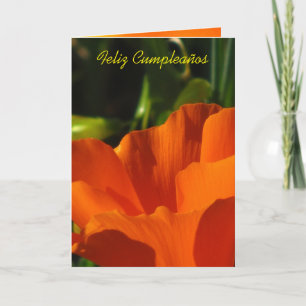 Cartão Feliz Cumpleaños - Amapola de Califórnia