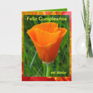Cartão - Feliz Cumpleaños, amor do MI